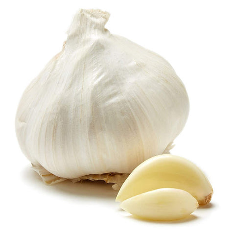 Garlic Bulb