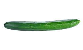 Cucumber