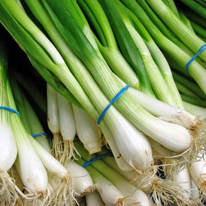 Spring Onion