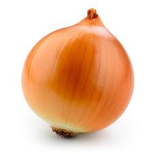 Onion, Brown Net